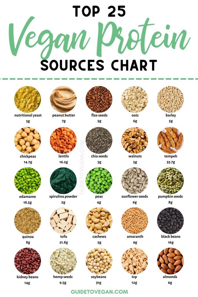 Protein Sources for Vegetarians and Vegans