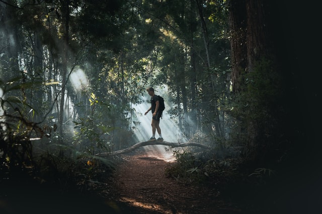 The Impact of Nature on Well-Being: Outdoor Escapes